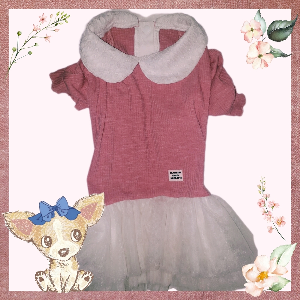 Dog dress w/ lace Peter pan collar&layered skirt - never worn!